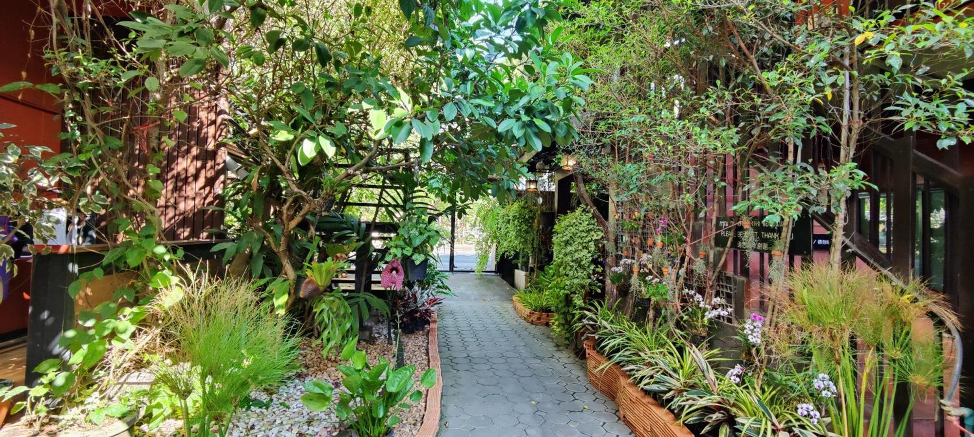 Hoh Guesthouse Chiang Mai Extérieur photo