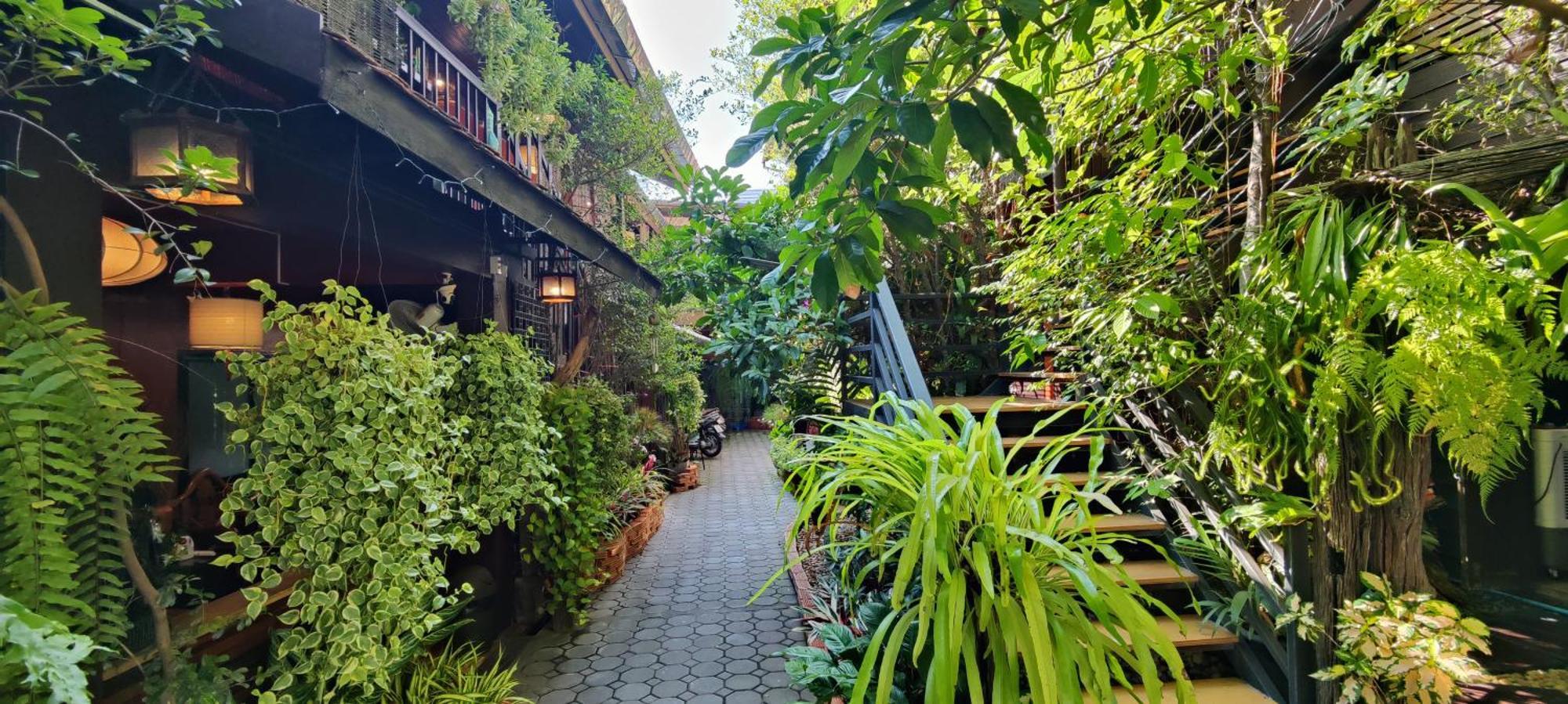 Hoh Guesthouse Chiang Mai Extérieur photo